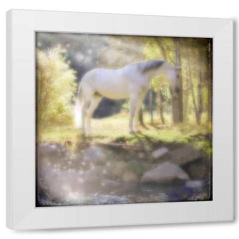 Your My Prince White Modern Wood Framed Art Print by LightBoxJournal