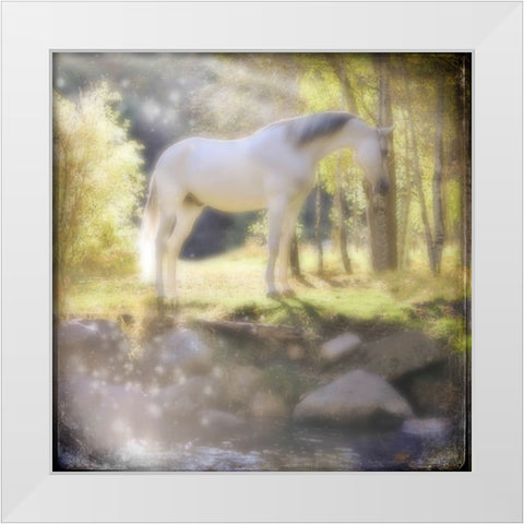Your My Prince White Modern Wood Framed Art Print by LightBoxJournal