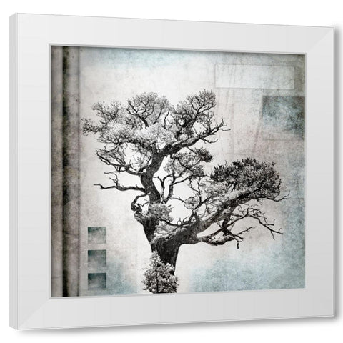 August Tree 4 White Modern Wood Framed Art Print by LightBoxJournal