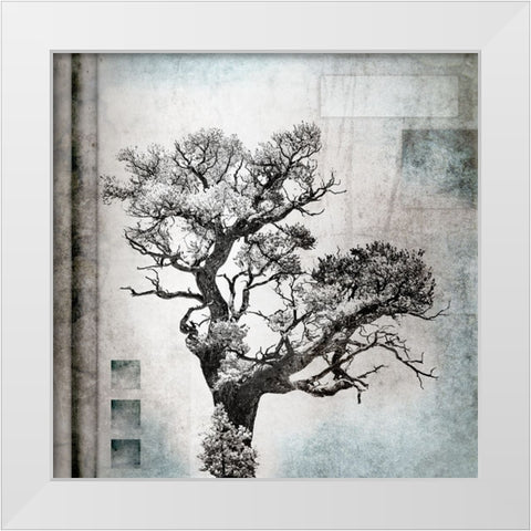 August Tree 4 White Modern Wood Framed Art Print by LightBoxJournal