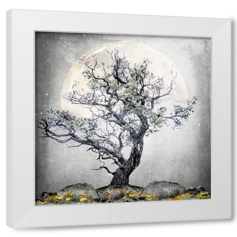 August Tree 5 White Modern Wood Framed Art Print by LightBoxJournal