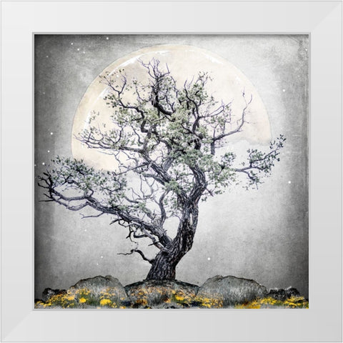 August Tree 5 White Modern Wood Framed Art Print by LightBoxJournal