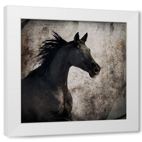 GypsyHorse Collection V1 4 White Modern Wood Framed Art Print by LightBoxJournal