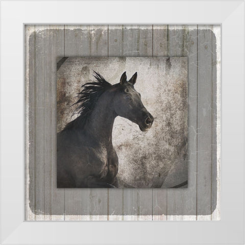 GypsyHorse Collection V1 10 White Modern Wood Framed Art Print by LightBoxJournal