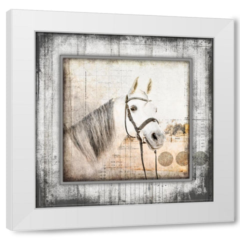 MyFarmMyWay V6 3 White Modern Wood Framed Art Print by LightBoxJournal