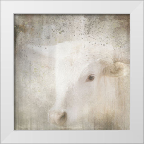 Antique Farm 04 White Modern Wood Framed Art Print by LightBoxJournal
