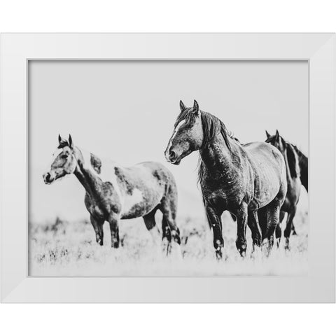 Wild Horses of the Great Basin 04 White Modern Wood Framed Art Print by LightBoxJournal
