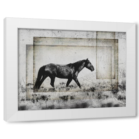 Wild Horses of the Great Basin 05 White Modern Wood Framed Art Print by LightBoxJournal
