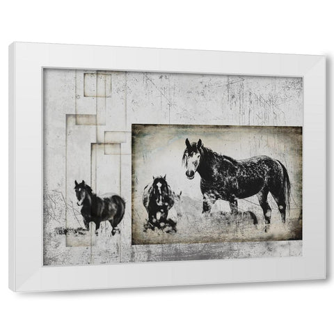 Wild Horses of the Great Basin 07 White Modern Wood Framed Art Print by LightBoxJournal