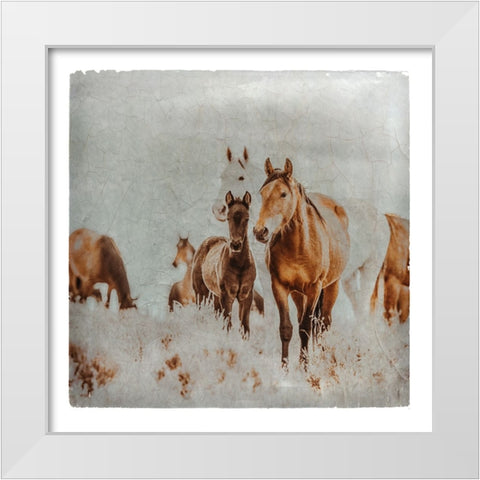 Wild Horses of the Great Basin Lomography 06 White Modern Wood Framed Art Print by LightBoxJournal