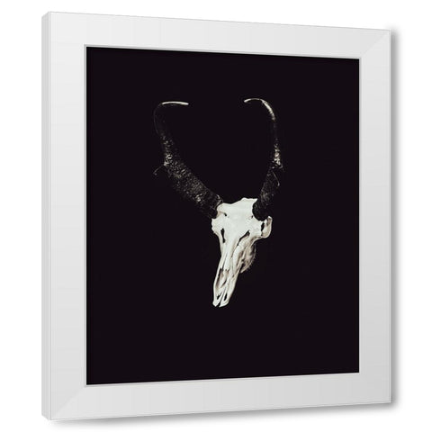 The Rustic Antler 07 White Modern Wood Framed Art Print by LightBoxJournal