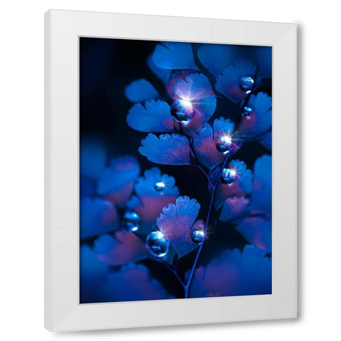 IMG_7587 White Modern Wood Framed Art Print by Love Grams