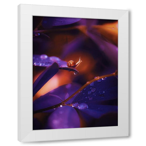 IMG_7588 White Modern Wood Framed Art Print by Love Grams