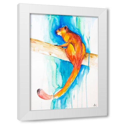 Giant Red Flying Squirrel (Habitat) White Modern Wood Framed Art Print by Allante, Marc