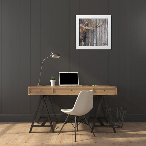 The Moose White Modern Wood Framed Art Print by Murray Henderson Fine Art
