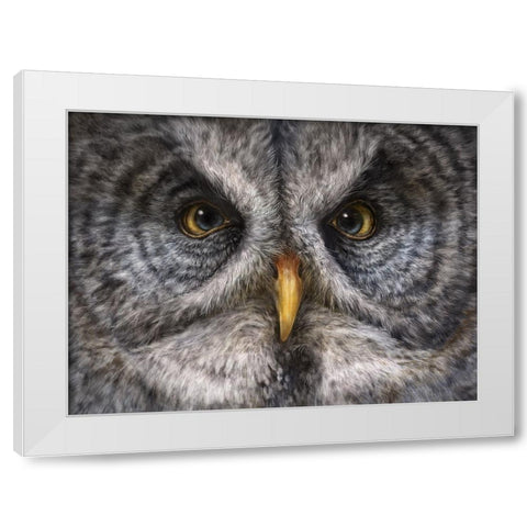 Great Grey Owl Totem White Modern Wood Framed Art Print by LaMontagne, Patrick