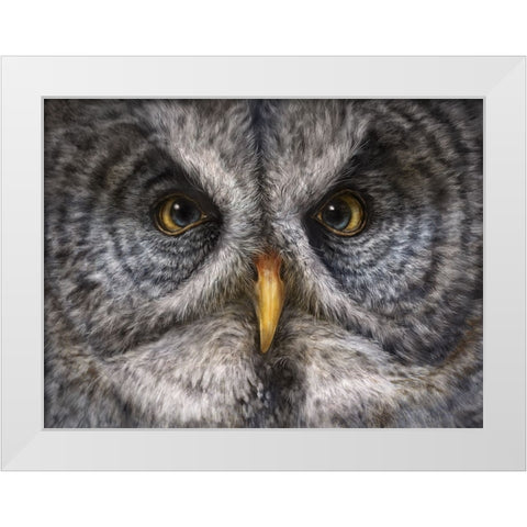 Great Grey Owl Totem White Modern Wood Framed Art Print by LaMontagne, Patrick