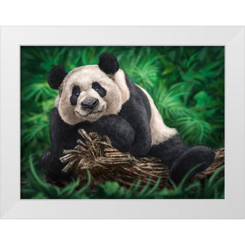 Peaceful Panda White Modern Wood Framed Art Print by LaMontagne, Patrick