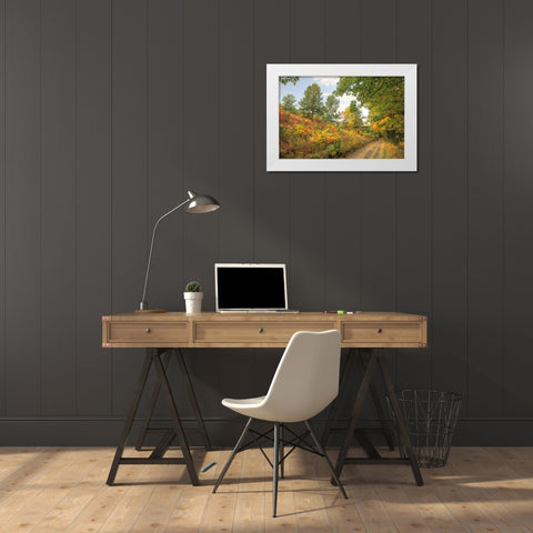 Autumn Path White Modern Wood Framed Art Print by Goldwitz, Robert