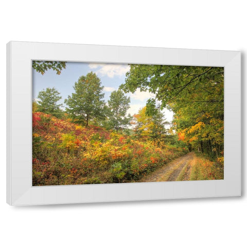 Autumn Path White Modern Wood Framed Art Print by Goldwitz, Robert