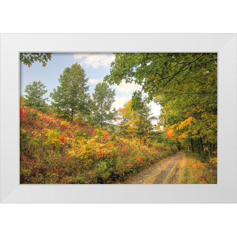 Autumn Path White Modern Wood Framed Art Print by Goldwitz, Robert