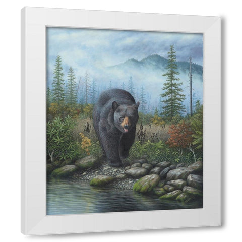 Smoky Mountain Black Bear White Modern Wood Framed Art Print by Wavra, Robert