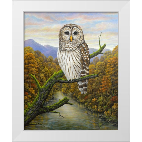 Barred Owl White Modern Wood Framed Art Print by Wavra, Robert