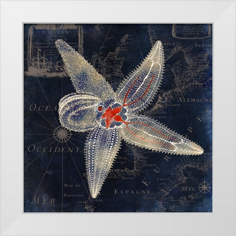 Maritime Blues IV White Modern Wood Framed Art Print by Sasha