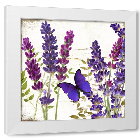 Lavande I White Modern Wood Framed Art Print by Sasha