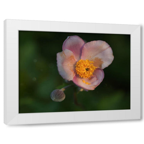 Hello World White Modern Wood Framed Art Print by Bonin, Suzanne