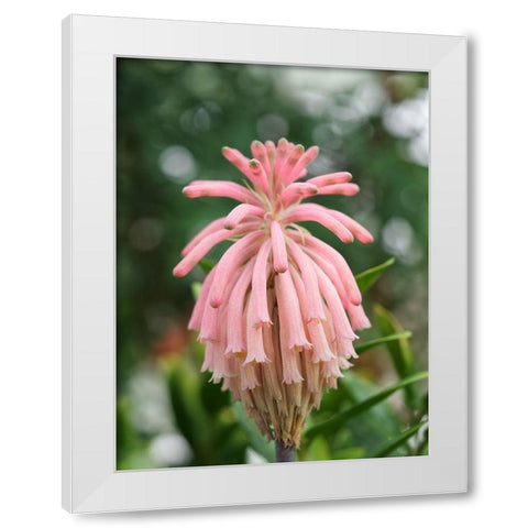 Forest Lily White Modern Wood Framed Art Print by Bonin, Suzanne