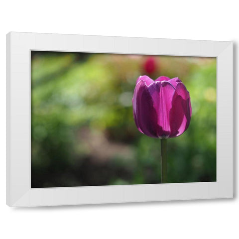 Lovely Lady White Modern Wood Framed Art Print by Bonin, Suzanne