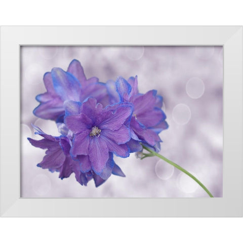 Pretty Me White Modern Wood Framed Art Print by Bonin, Suzanne