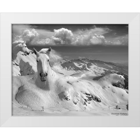 Icy Studs White Modern Wood Framed Art Print by Barbey, Thomas