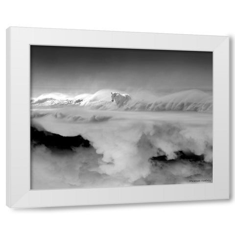 Night... Mare White Modern Wood Framed Art Print by Barbey, Thomas