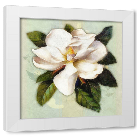 Nouveau Botanica White Modern Wood Framed Art Print by Lavoie, Tina