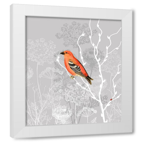 Queen Ann Morning White Modern Wood Framed Art Print by Lavoie, Tina