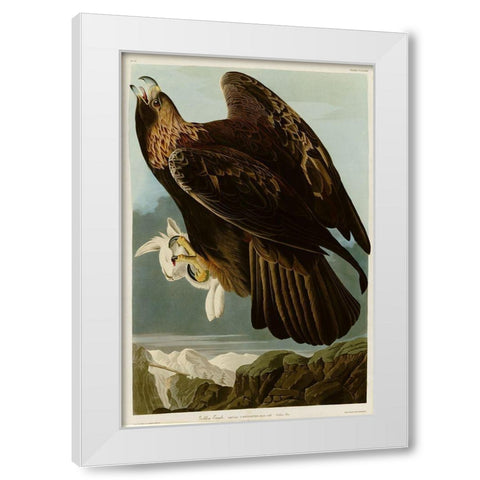 Golden Eagle White Modern Wood Framed Art Print by Vintage Apple Collection
