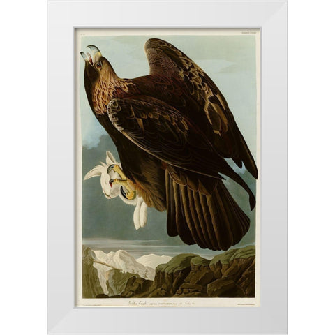 Golden Eagle White Modern Wood Framed Art Print by Vintage Apple Collection