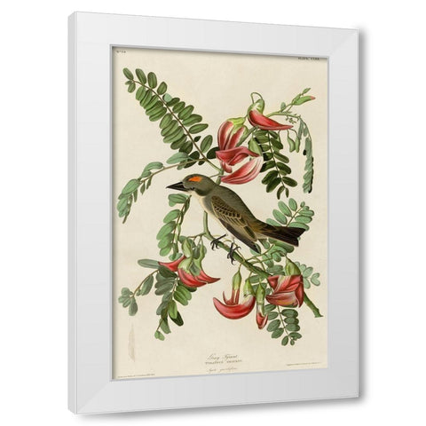 Gray Tyrant White Modern Wood Framed Art Print by Vintage Apple Collection