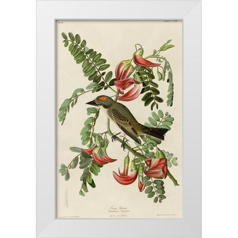 Gray Tyrant White Modern Wood Framed Art Print by Vintage Apple Collection