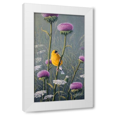 Goldfinch White Modern Wood Framed Art Print by Goebel, Wilhelm
