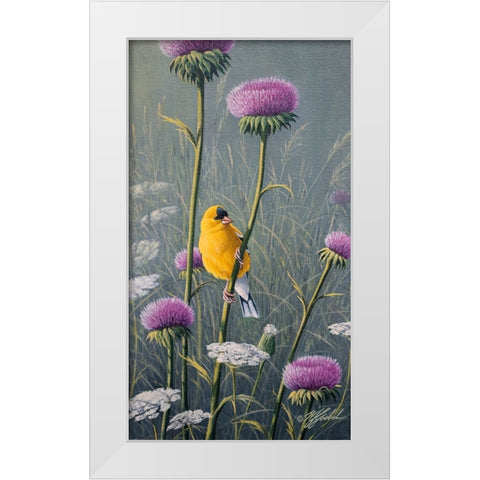 Goldfinch White Modern Wood Framed Art Print by Goebel, Wilhelm