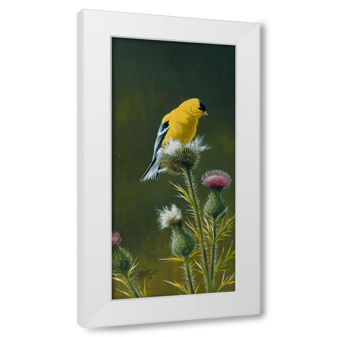 Goldfinch On Thistle White Modern Wood Framed Art Print by Goebel, Wilhelm