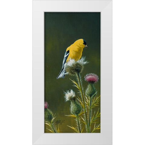 Goldfinch On Thistle White Modern Wood Framed Art Print by Goebel, Wilhelm
