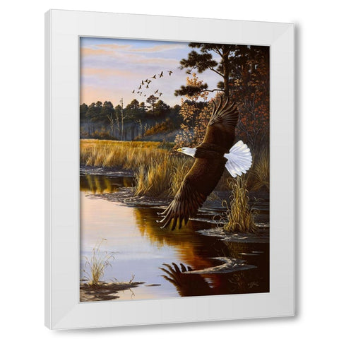 Wings Of Autumn - Bald Eagle White Modern Wood Framed Art Print by Goebel, Wilhelm