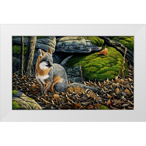 Grey Fox White Modern Wood Framed Art Print by Goebel, Wilhelm