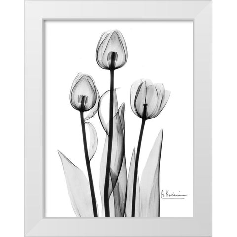 Tulips Black and White White Modern Wood Framed Art Print by Koetsier, Albert