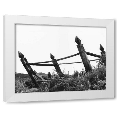 The Bodi Fence White Modern Wood Framed Art Print by Koetsier, Albert