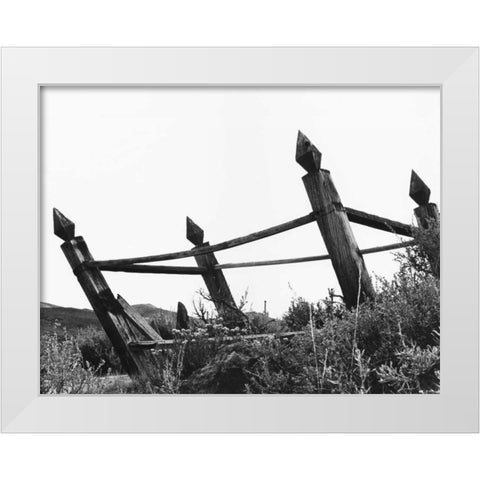 The Bodi Fence White Modern Wood Framed Art Print by Koetsier, Albert